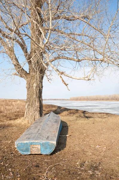 Bahar River, buz Nehri üzerinde. çıplak ağaçlar ve mavi gökyüzünde güzel bulutlar güzel bahar manzara nehir buz ile erimiş