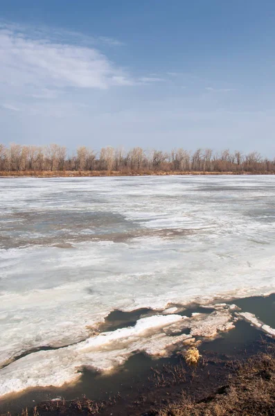 Bahar River, buz Nehri üzerinde. çıplak ağaçlar ve mavi gökyüzünde güzel bulutlar güzel bahar manzara nehir buz ile erimiş