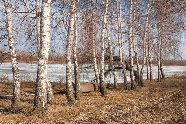 Bahar River, buz Nehri üzerinde. çıplak ağaçlar ve mavi gökyüzünde güzel bulutlar güzel bahar manzara nehir buz ile erimiş
