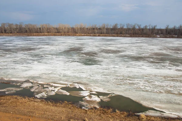 Bahar River, buz Nehri üzerinde. çıplak ağaçlar ve mavi gökyüzünde güzel bulutlar güzel bahar manzara nehir buz ile erimiş
