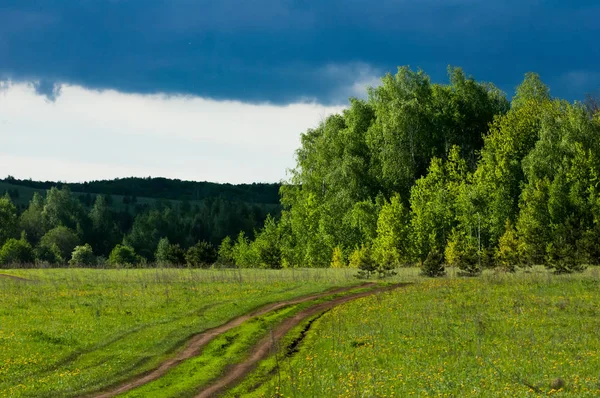 Bahar köy yolunda ormanda. 