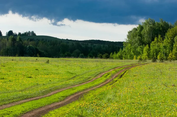 Günbatımında günbatımı, güzel yeşil ağaç bulutlar ile bahar ormandaki bahar.