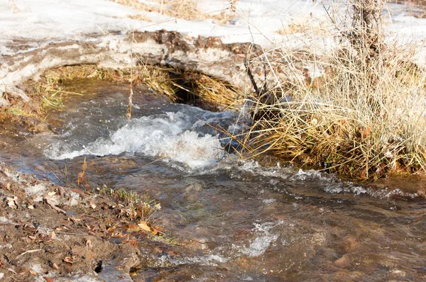 Acqua Corrente Piccolo Fiume Primavera Scena Primaverile Paesaggio Montano Con — Foto Stock