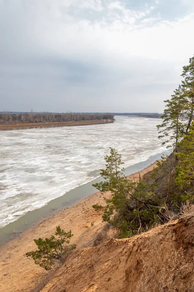 Bahar River, buz Nehri üzerinde. çıplak ağaçlar ve mavi gökyüzünde güzel bulutlar güzel bahar manzara nehir buz ile erimiş