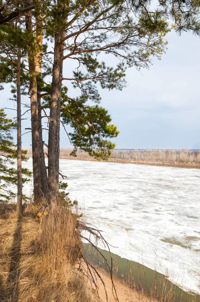 Bahar River, buz Nehri üzerinde. çıplak ağaçlar ve mavi gökyüzünde güzel bulutlar güzel bahar manzara nehir buz ile erimiş