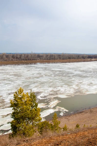 Bahar River, buz Nehri üzerinde. çıplak ağaçlar ve mavi gökyüzünde güzel bulutlar güzel bahar manzara nehir buz ile erimiş