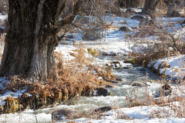  kayalar ve woods, erken Bahar yatay