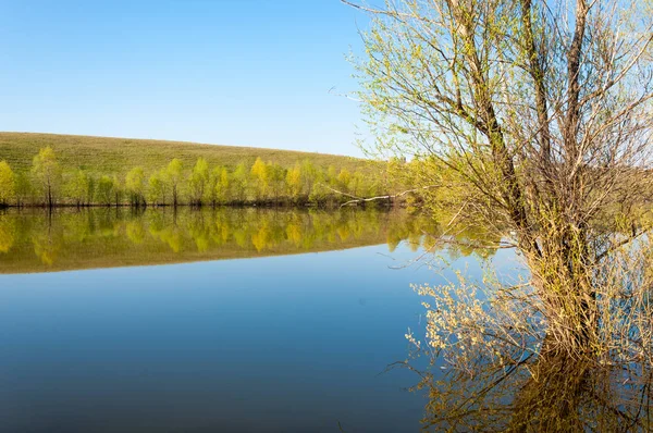 bahar Gölü. Su birikintisi bahar. Bahar park göl. bahar Gölü sahne. Bahar gölün kıyısında.