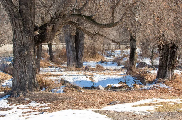  kayalar ve woods, erken Bahar yatay