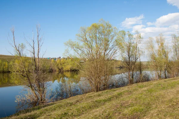 Wiosna Nad Jeziorem Staw Wiosna Jezioro Parku Wiosny Wiosna Nad — Zdjęcie stockowe