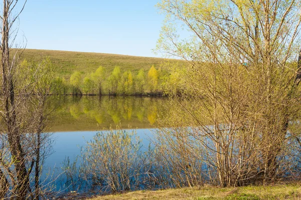 bahar Gölü. Su birikintisi bahar. Bahar park göl. bahar Gölü sahne. Bahar gölün kıyısında.