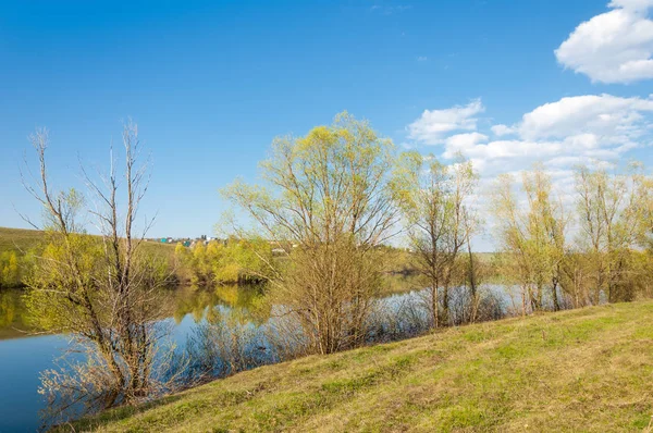 bahar Gölü. Su birikintisi bahar. Bahar park göl. bahar Gölü sahne. Bahar gölün kıyısında.