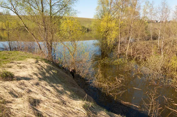 bahar Gölü. Su birikintisi bahar. Bahar park göl. bahar Gölü sahne. Bahar gölün kıyısında.