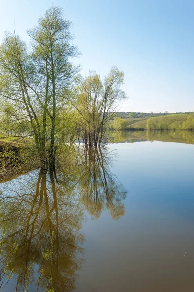 bahar Gölü. Su birikintisi bahar. Bahar park göl. bahar Gölü sahne. Bahar gölün kıyısında.