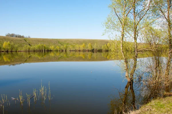 bahar Gölü. Su birikintisi bahar. Bahar park göl. bahar Gölü sahne. Bahar gölün kıyısında.