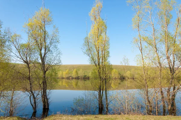 bahar Gölü. Su birikintisi bahar. Bahar park göl. bahar Gölü sahne. Bahar gölün kıyısında.