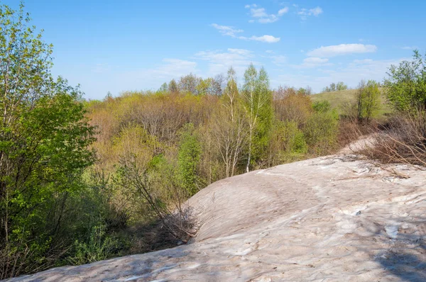 Son kar, yeşil ağaçlar. Bir orman hillside bahar yeşil kar son parça. Yeşil bahar kayın ormanı tepe üzerinde son karda. Nisan hava.