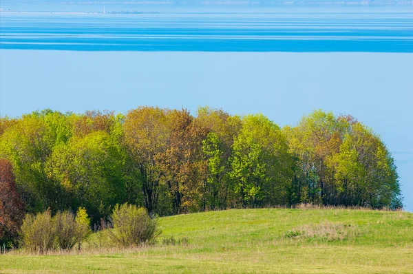 Bahar, büyük bir nehir, renkli ağaçlar. Nehir kenarında yumuşak sabah şafak ışığı içinde filizlenen büyük ağaç. Sakin nehir düşük dağlara akan