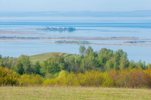 Bahar, büyük bir nehir, renkli ağaçlar. Nehir kenarında yumuşak sabah şafak ışığı içinde filizlenen büyük ağaç. Sakin nehir düşük dağlara akan