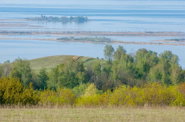 Весна Велика Річка Барвисті Дерева Велике Дерево Розквітає Біля Річки — стокове фото