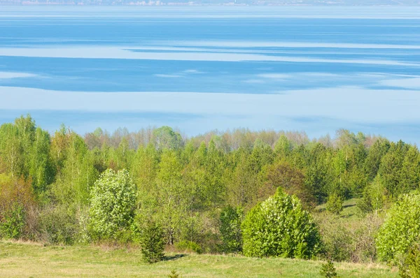 Bahar, büyük bir nehir, renkli ağaçlar. Nehir kenarında yumuşak sabah şafak ışığı içinde filizlenen büyük ağaç. Sakin nehir düşük dağlara akan