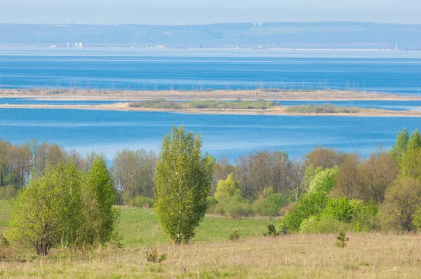 Bahar, büyük bir nehir, renkli ağaçlar. Nehir kenarında yumuşak sabah şafak ışığı içinde filizlenen büyük ağaç. Sakin nehir düşük dağlara akan