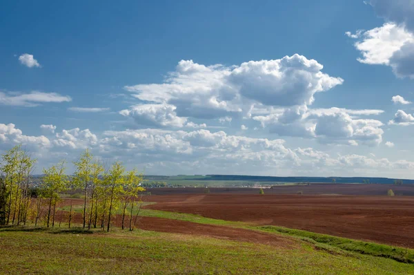 Alan sürülmüş, ekilen hububat. Bahar günü sürülmüş alana. Siyah toprak sürülmüş alan. Mavi gökyüzünde sürülmüş alan