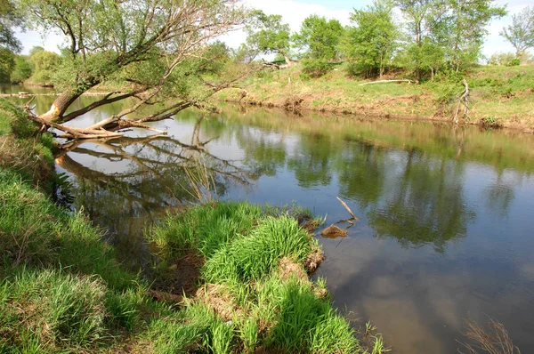 Bahar Nehri,, ağaç bahar güneş büyür..