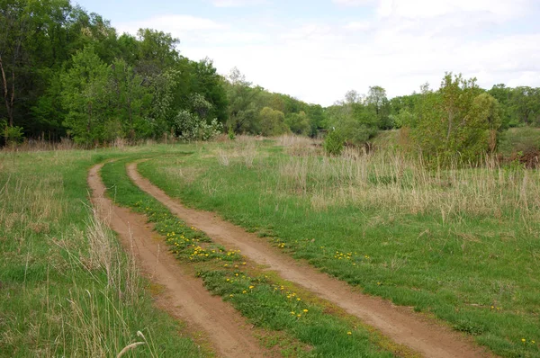 Bahar Nehri,, ağaç bahar güneş büyür..