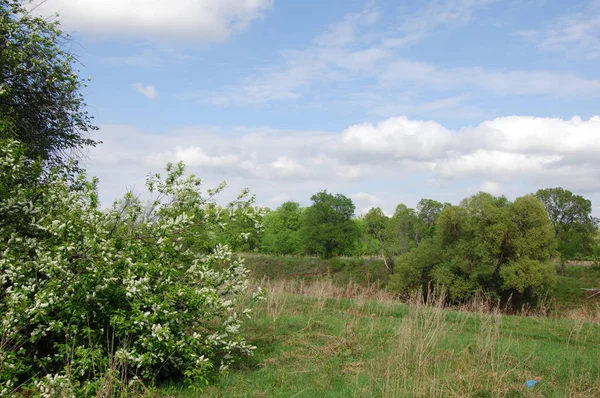 Bahar Nehri,, ağaç bahar güneş büyür..