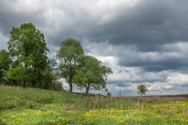 nehir ağaç bahar. Satır ve nehir kıyısında ağaçlarının. Ağacın yanında bir güneşli bahar gününde Nehri'nin su