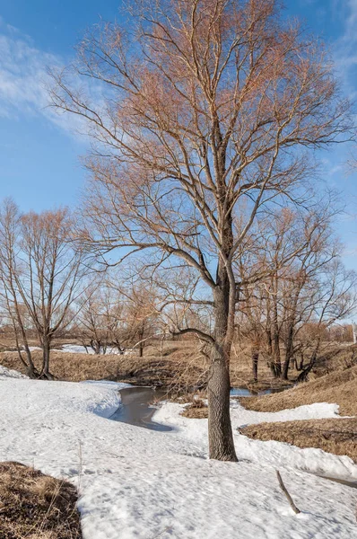 Brook bahar. güneşli bir bahar brooks suda eriyen doku. nehir dere dere. Bahar Nehri üzerinde buz erime. 