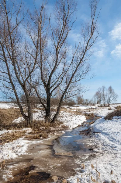 Spring Brook Textura Água Derretida Nos Riachos Primavera Dia Ensolarado — Fotografia de Stock