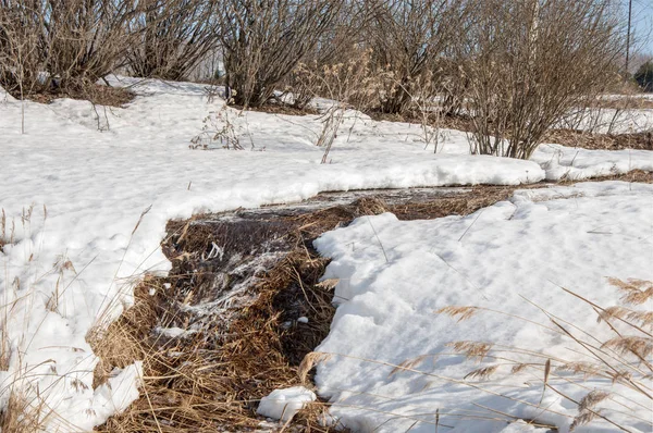 Brook bahar. güneşli bir bahar brooks suda eriyen doku. nehir dere dere. Bahar Nehri üzerinde buz erime. 