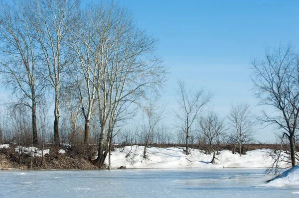 Bevroren Meer Het Voorjaar Voorjaar Ijs — Stockfoto