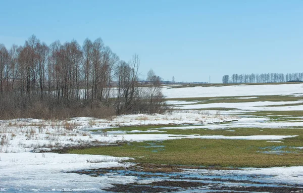 Geçen kış bahar kar. Ağaçlar