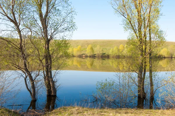 bahar Gölü. Su birikintisi bahar. Bahar park göl. bahar Gölü sahne. Bahar gölün kıyısında.