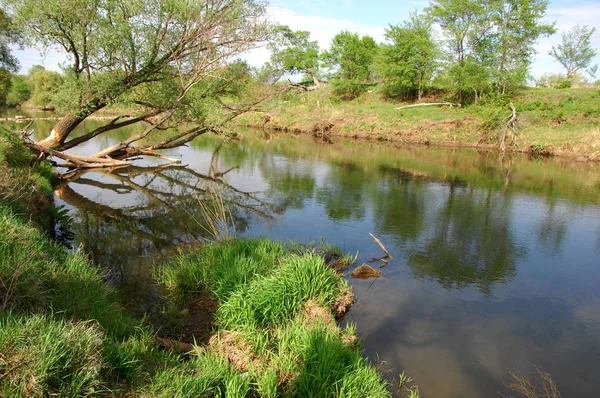 Bahar Nehri,, ağaç bahar güneş büyür..