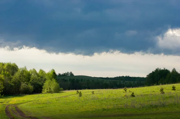 Günbatımında günbatımı, güzel yeşil ağaç bulutlar ile bahar ormandaki bahar.