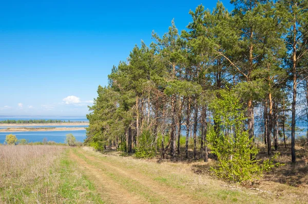 Bahar, büyük bir nehir, renkli ağaçlar. Nehir kenarında yumuşak sabah şafak ışığı içinde filizlenen büyük ağaç. Sakin nehir düşük dağlara akan