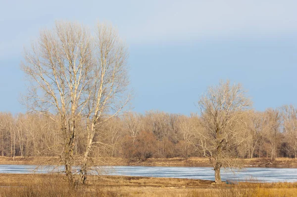 Bahar River, buz Nehri üzerinde. çıplak ağaçlar ve mavi gökyüzünde güzel bulutlar güzel bahar manzara nehir buz ile erimiş