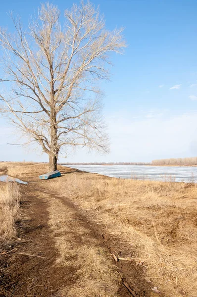 Bahar River, buz Nehri üzerinde. çıplak ağaçlar ve mavi gökyüzünde güzel bulutlar güzel bahar manzara nehir buz ile erimiş