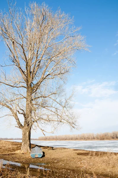 Bahar River, buz Nehri üzerinde. çıplak ağaçlar ve mavi gökyüzünde güzel bulutlar güzel bahar manzara nehir buz ile erimiş