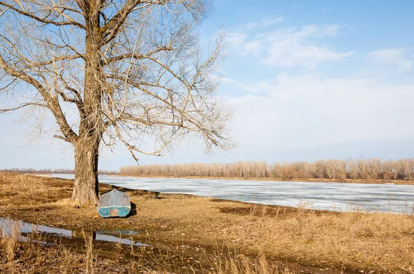 Bahar River, buz Nehri üzerinde. çıplak ağaçlar ve mavi gökyüzünde güzel bulutlar güzel bahar manzara nehir buz ile erimiş