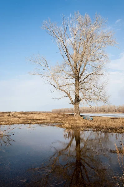 Bahar River, buz Nehri üzerinde. çıplak ağaçlar ve mavi gökyüzünde güzel bulutlar güzel bahar manzara nehir buz ile erimiş