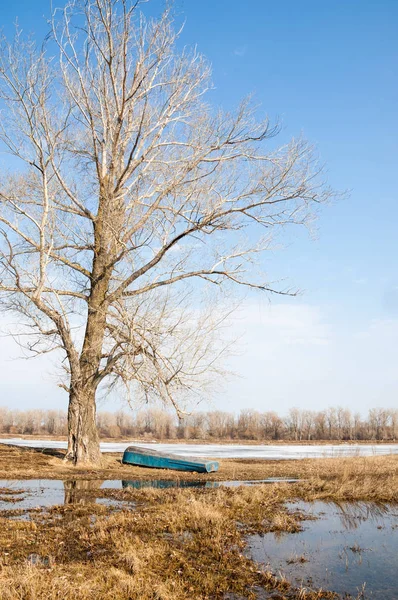 Bahar River Buz Nehri Üzerinde Çıplak Ağaçlar Mavi Gökyüzünde Güzel — Stok fotoğraf