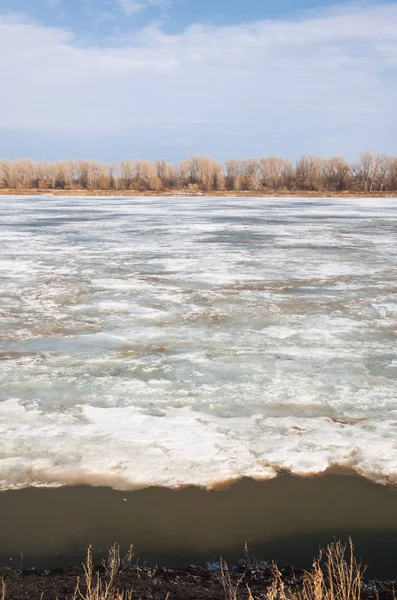 Bahar River, buz Nehri üzerinde. çıplak ağaçlar ve mavi gökyüzünde güzel bulutlar güzel bahar manzara nehir buz ile erimiş