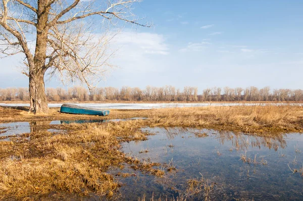Bahar River, buz Nehri üzerinde. çıplak ağaçlar ve mavi gökyüzünde güzel bulutlar güzel bahar manzara nehir buz ile erimiş