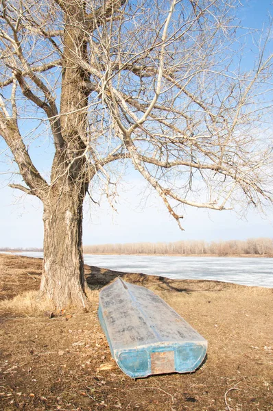 Bahar River, buz Nehri üzerinde. çıplak ağaçlar ve mavi gökyüzünde güzel bulutlar güzel bahar manzara nehir buz ile erimiş