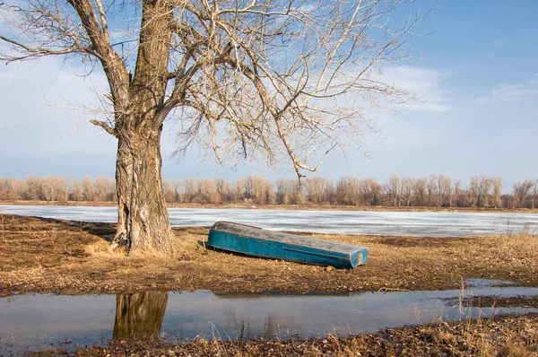 Bahar River, buz Nehri üzerinde. çıplak ağaçlar ve mavi gökyüzünde güzel bulutlar güzel bahar manzara nehir buz ile erimiş